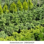 欧美伦禁片在线播放 yhqyuz8